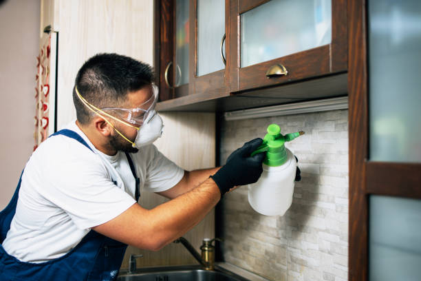 Wasp Removal Services in Cleveland, MS