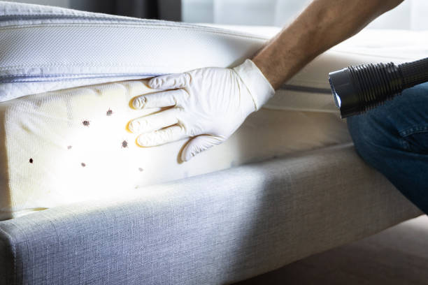 Trusted Cleveland, MS Pest Control Experts